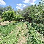Quinta Da Portela Casa vacanze Ferro (Covilha)