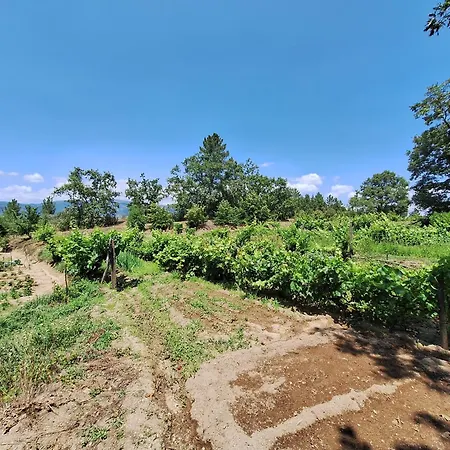 Tatil Evi Quinta Da Portela
