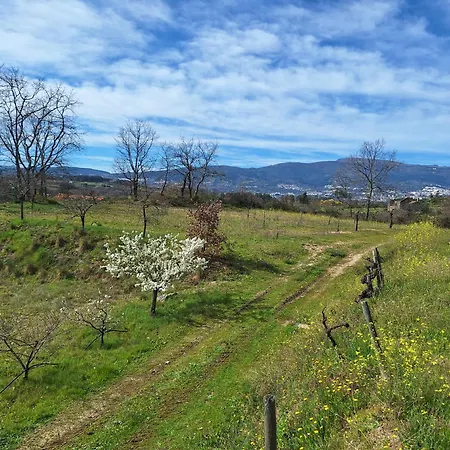 Quinta Da Portela * Ferro (Covilha)