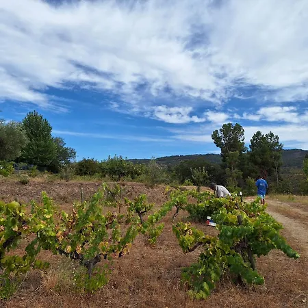 Quinta Da Portela Casa de Férias *