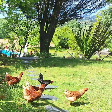 Quinta Da Portela Casa de Férias