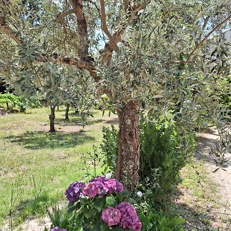 Quinta Da Portela בית נופש *