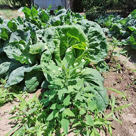 בית נופש Quinta Da Portela *