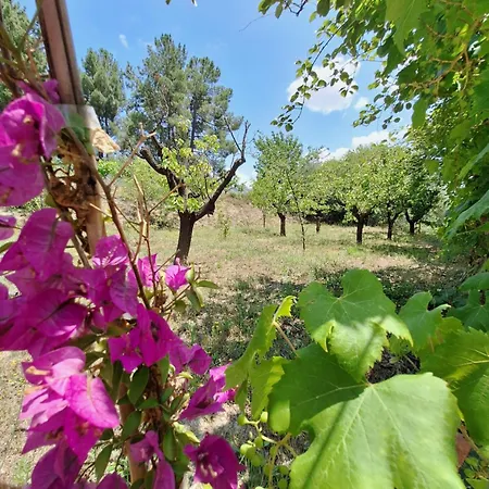 Casa de Férias Quinta Da Portela *