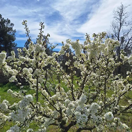 Quinta Da Portela *