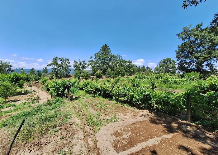 Tatil Evi Quinta Da Portela