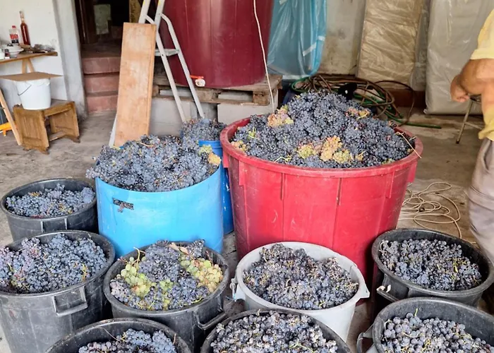 Quinta Da Portela בית נופש Ferro (Covilha)