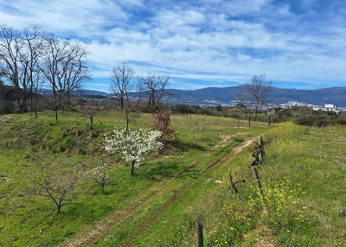 Quinta Da Portela * Ferro (Covilha)