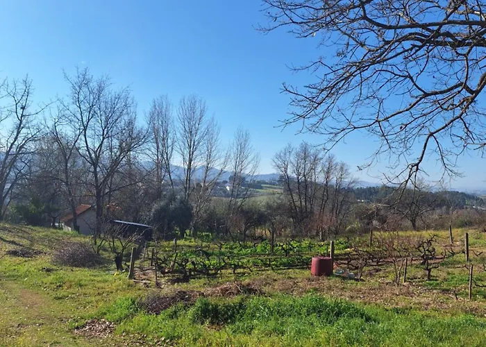 Quinta Da Portela Tatil Evi Ferro (Covilha)