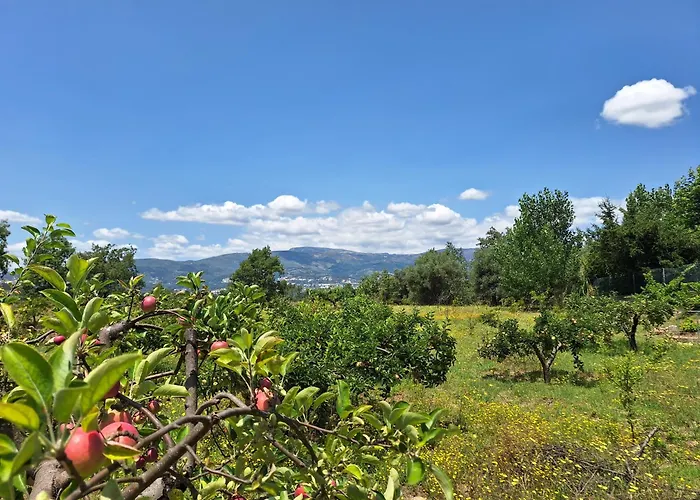 Tatil Evi Quinta Da Portela Ferro (Covilha)