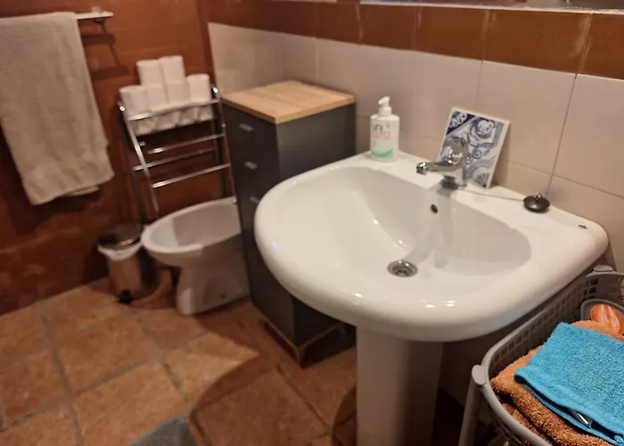 Quinta Da Portela Ferro (Covilha)