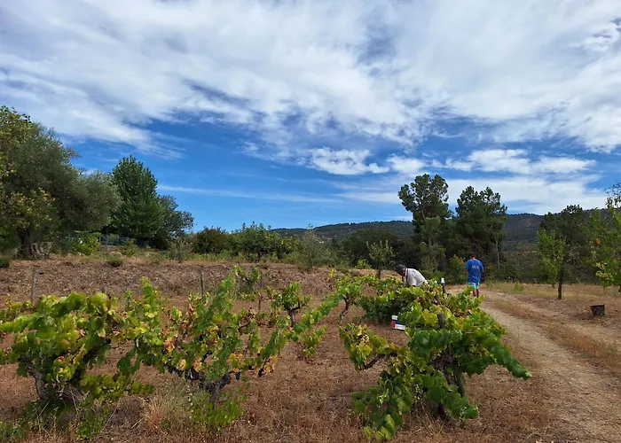 Quinta Da Portela Tatil Evi *
