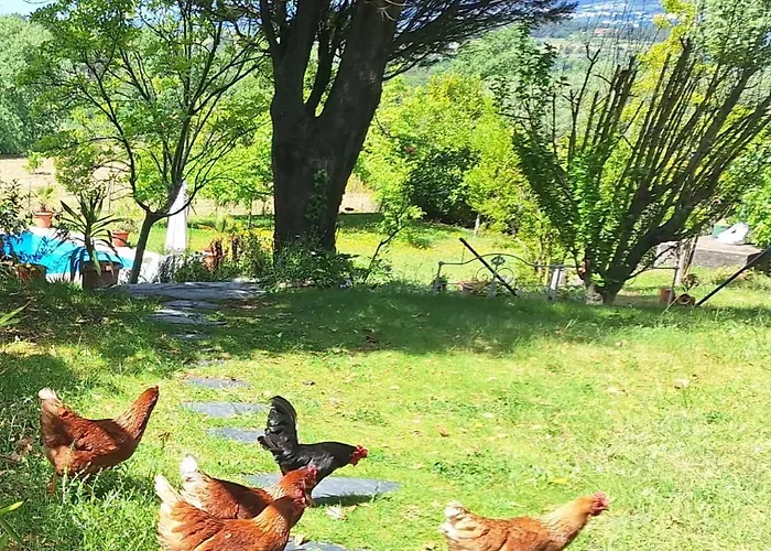 Quinta Da Portela Tatil Evi