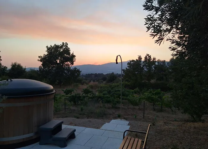 Tatil Evi Quinta Da Portela Ferro (Covilha)