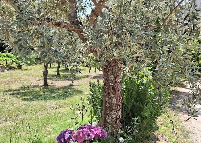 Quinta Da Portela בית נופש *