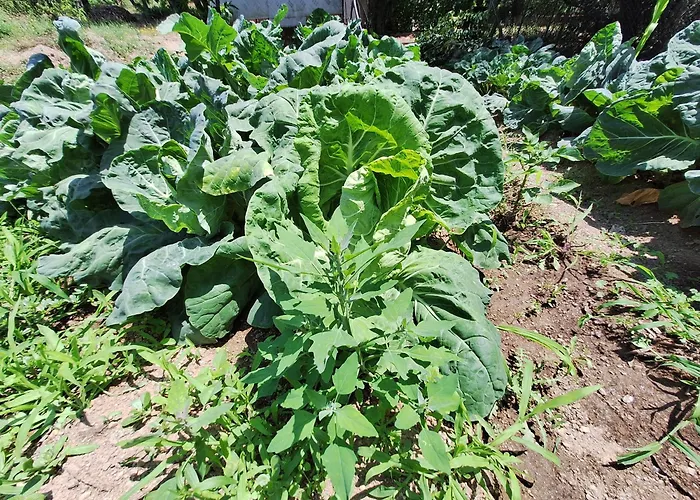 בית נופש Quinta Da Portela *