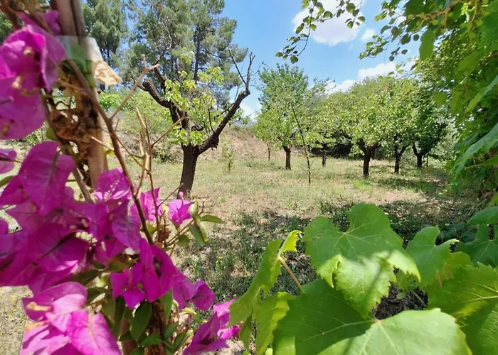 Tatil Evi Quinta Da Portela *