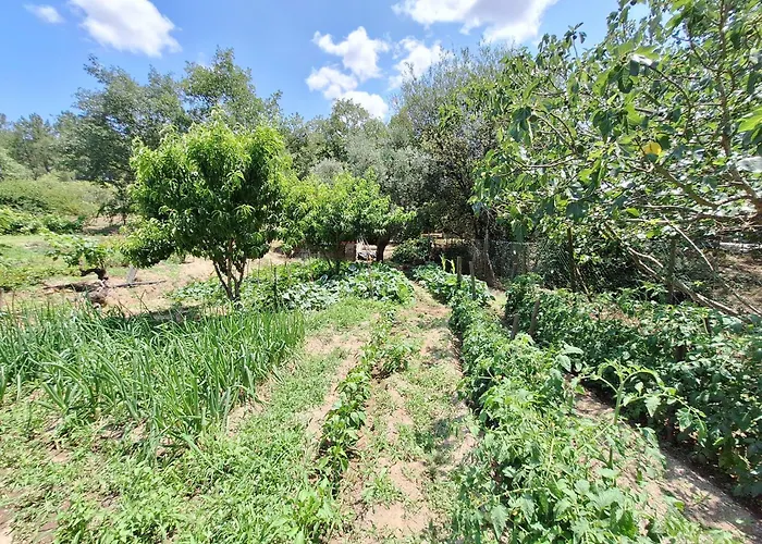 Quinta Da Portela בית נופש Ferro (Covilha)