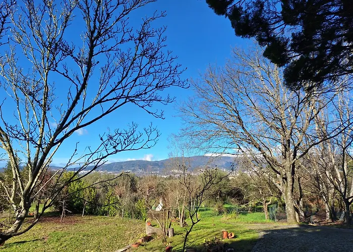Tatil Evi Quinta Da Portela Ferro (Covilha)