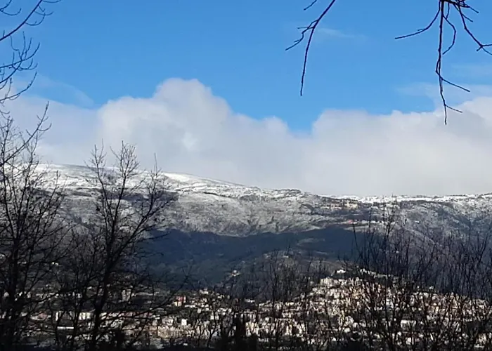 Quinta Da Portela Tatil Evi
